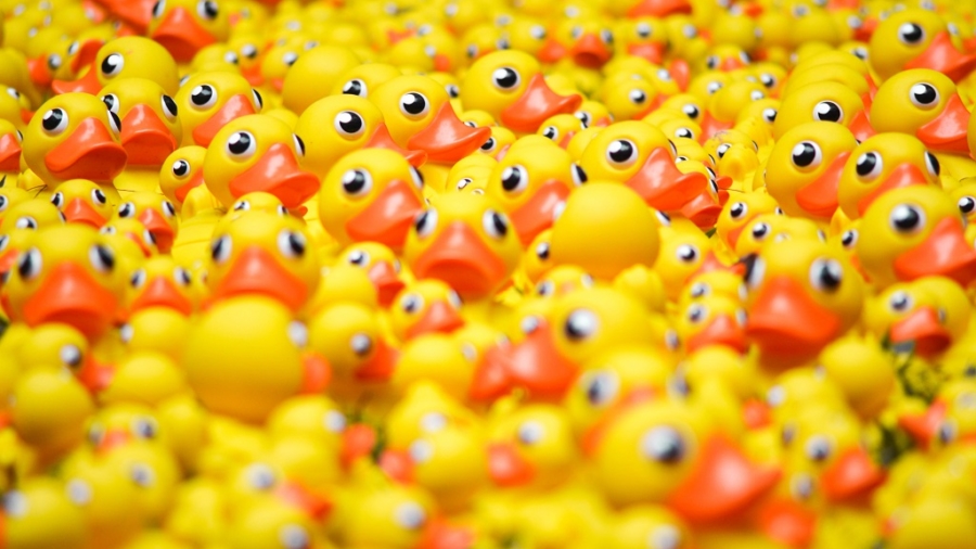 Austin Duck Derby