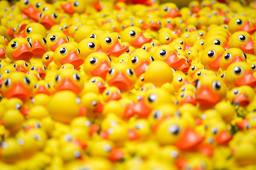 Austin Duck Derby