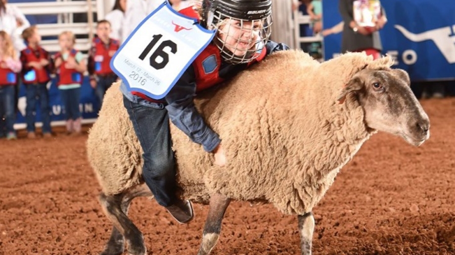 2020 Mutton Bustin' Registration