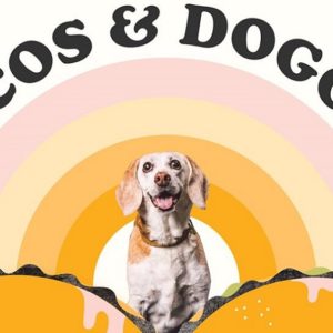 Tacos & Doggos