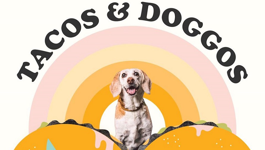 Tacos & Doggos